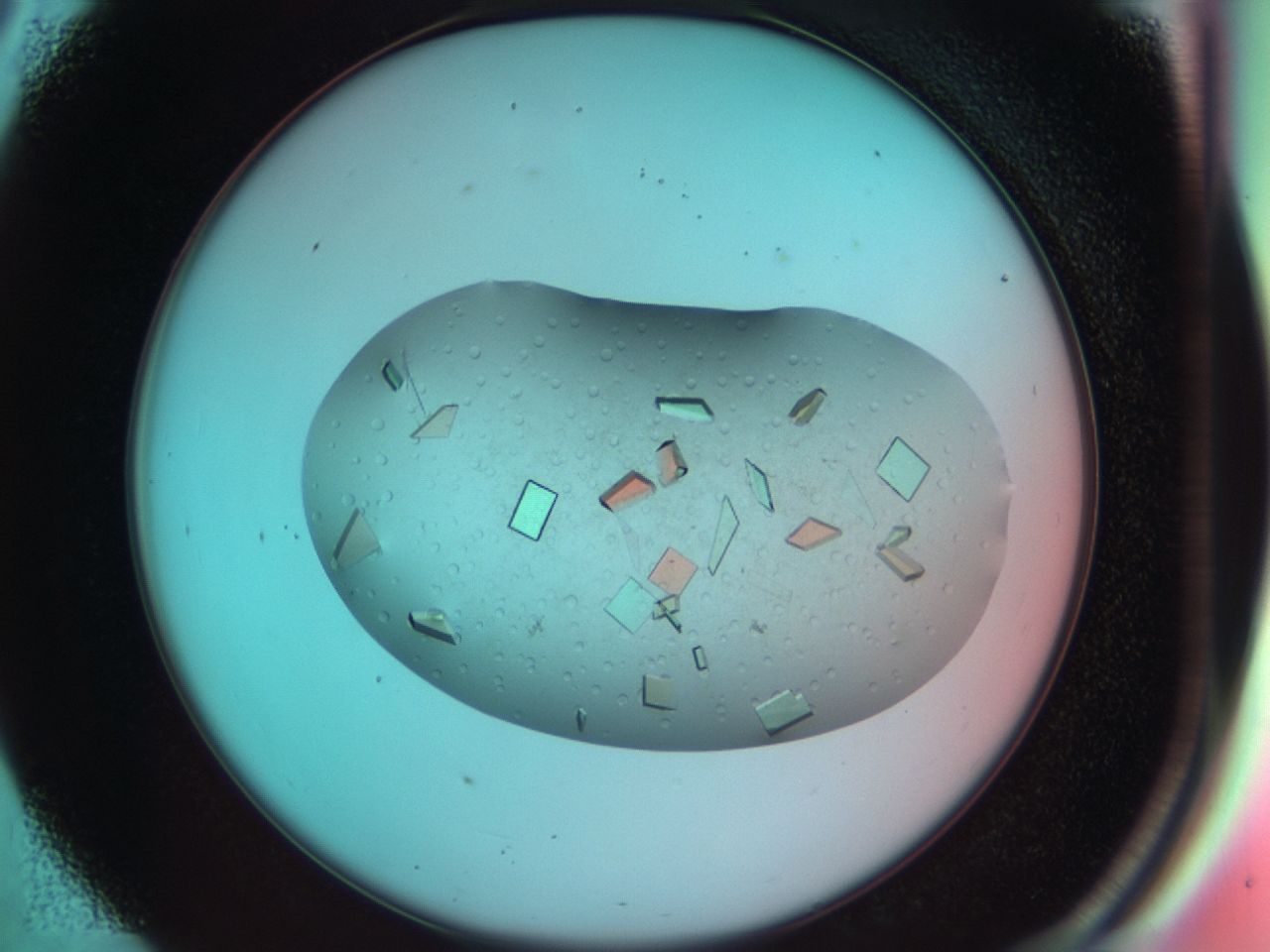 03ce_D5_ImagerDefaults_9.jpg