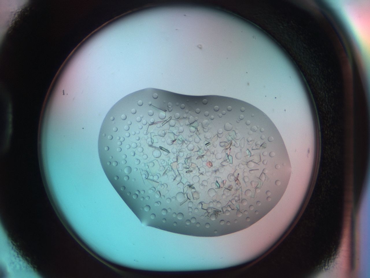 03ce_D6_ImagerDefaults_7.jpg