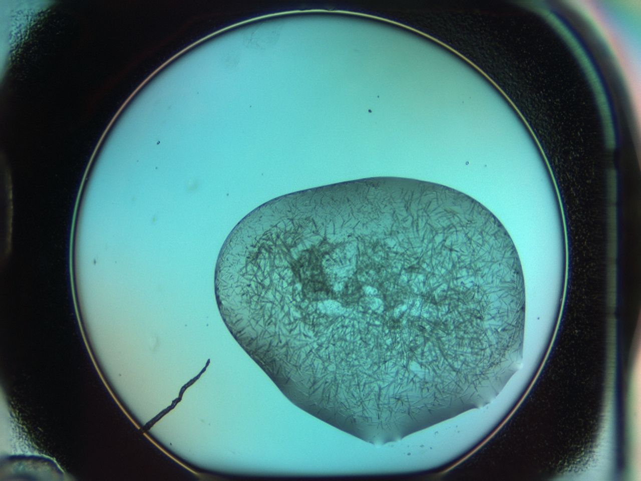 03ce_D12_ImagerDefaults_7.jpg