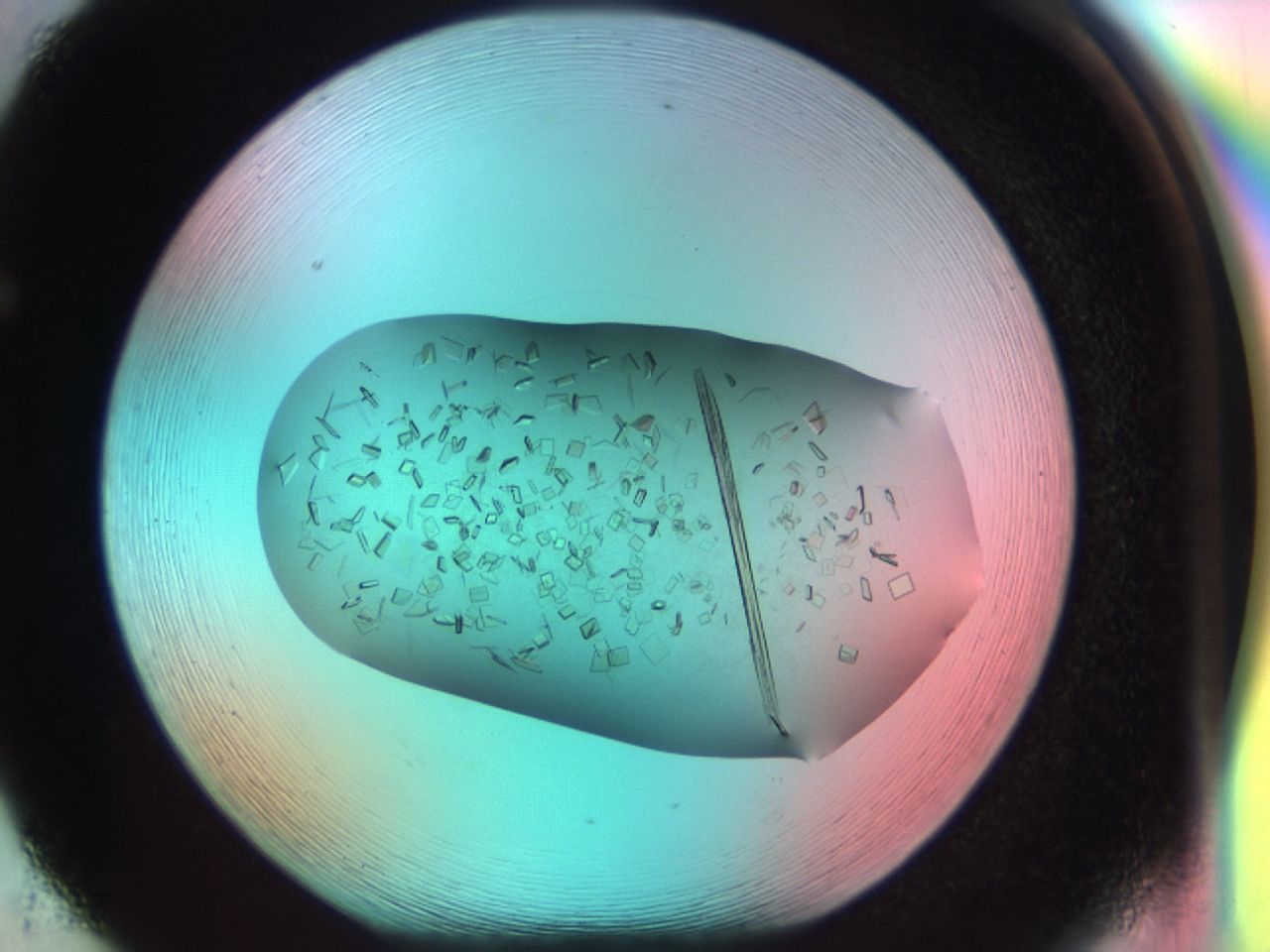 03ce_F5_ImagerDefaults_8.jpg