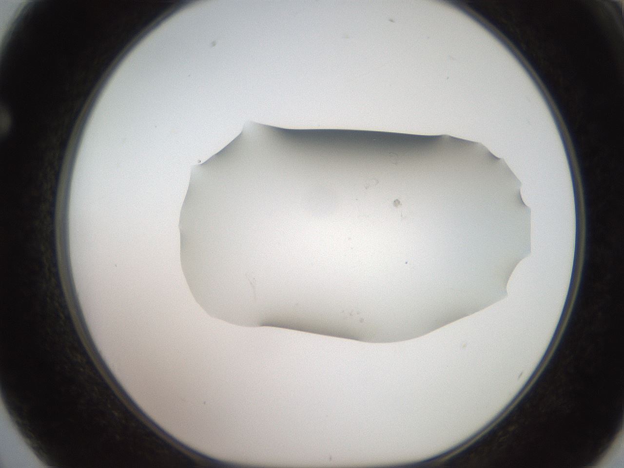 folderID553_plateID2553_batchID12617_wellNum62_profileID1_d1_r194721_ef.jpg