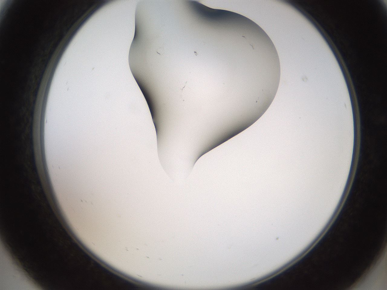 folderID555_plateID2555_batchID12621_wellNum8_profileID1_d2_r194806_ef.jpg