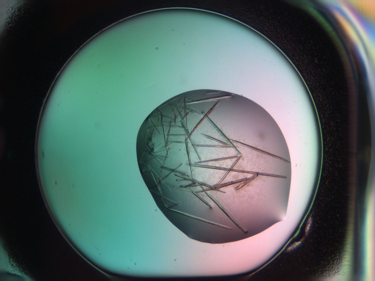 03ce_G10_ImagerDefaults_7.jpg