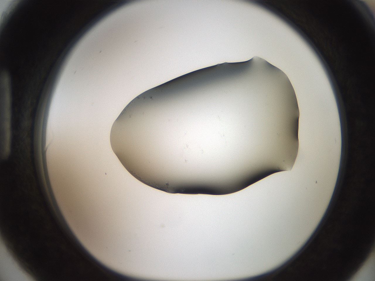 folderID561_plateID2561_batchID12867_wellNum90_profileID1_d1_r195835_ef.jpg