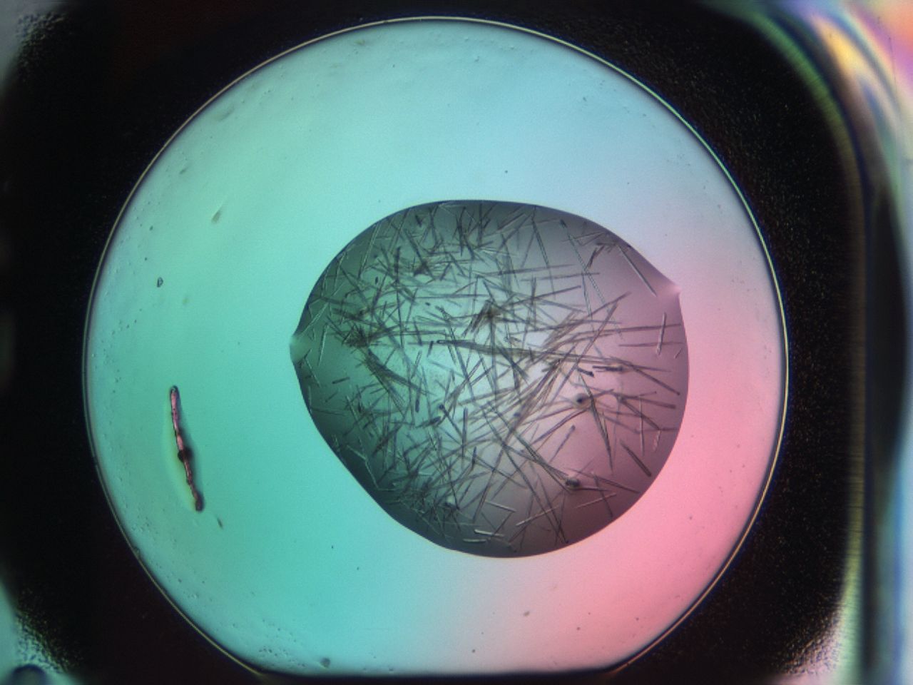 03ce_G11_ImagerDefaults_7.jpg