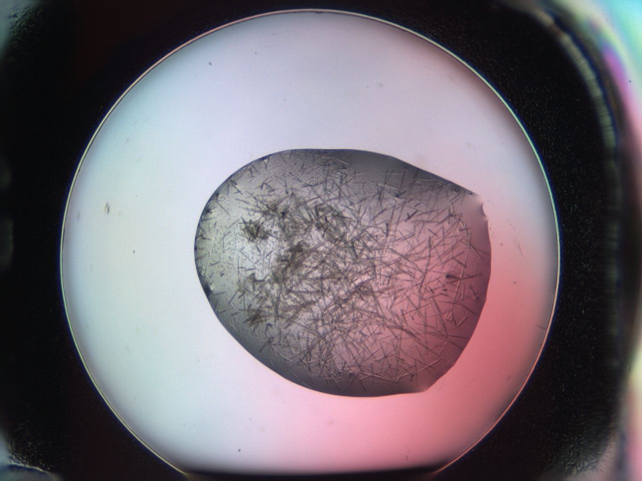 03ce_G12_ImagerDefaults_7.jpg