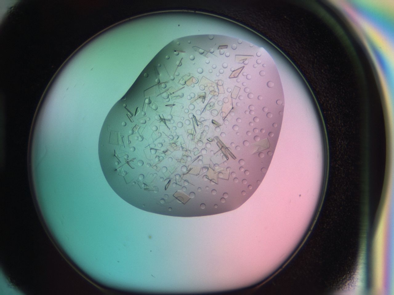 03ce_H6_ImagerDefaults_8.jpg