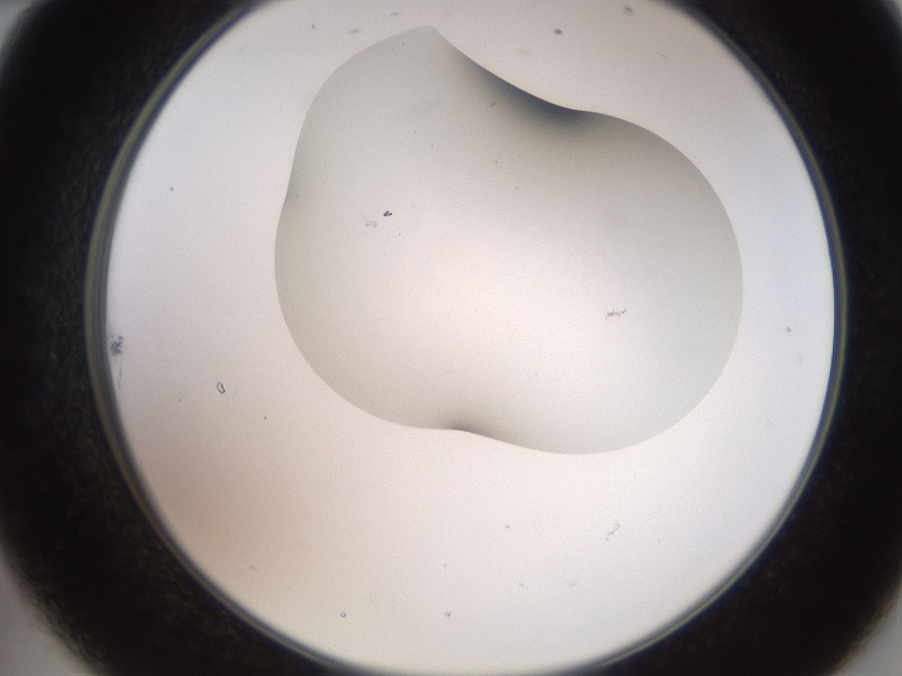 folderID562_plateID2562_batchID13020_wellNum22_profileID1_d2_r195124_ef.jpg