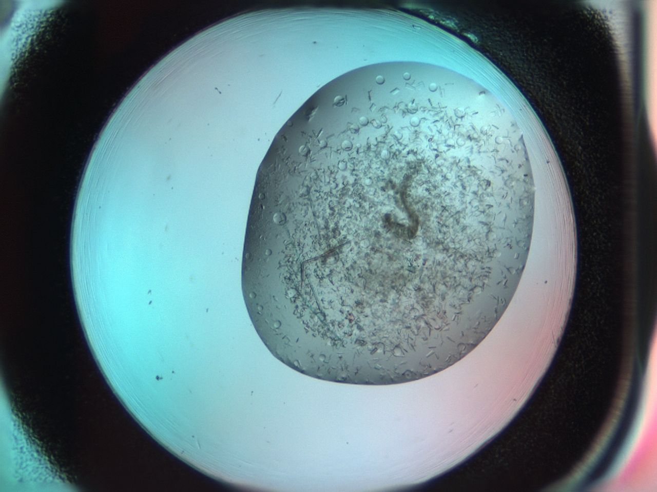 03cf_B6_ImagerDefaults_6.jpg