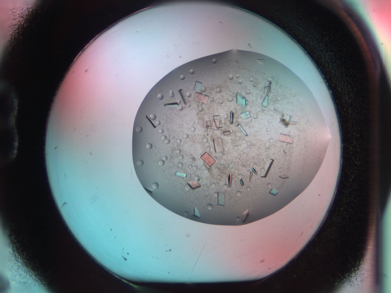 03cf_B6_ImagerDefaults_9.jpg