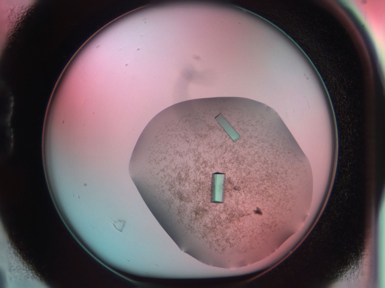 03cf_B4_ImagerDefaults_9.jpg