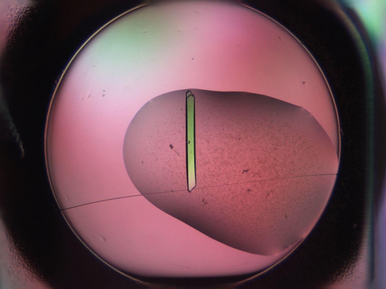 03cf_A1_ImagerDefaults_9.jpg