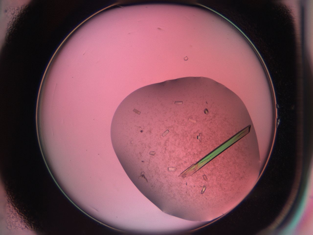 03cf_A1_ImagerDefaults_7.jpg