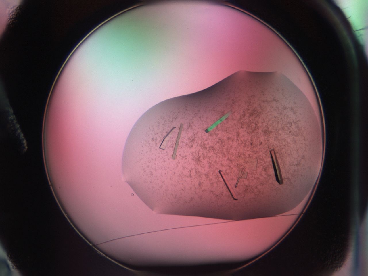 03cf_A2_ImagerDefaults_8.jpg