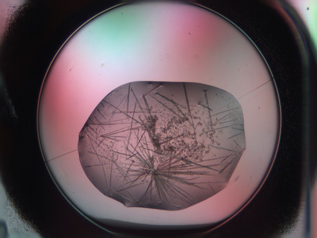 03cf_A4_ImagerDefaults_7.jpg