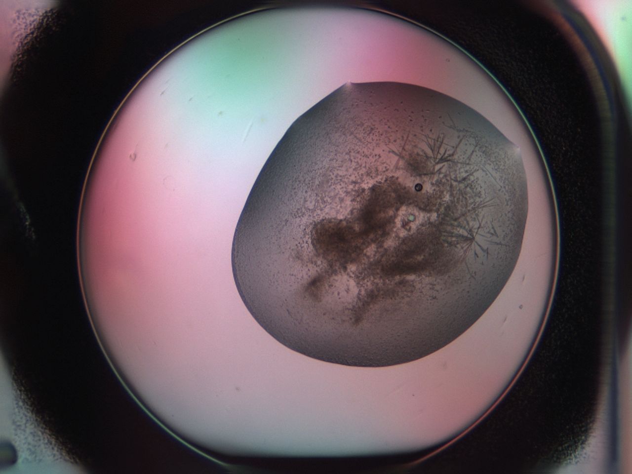 03cf_A5_ImagerDefaults_7.jpg