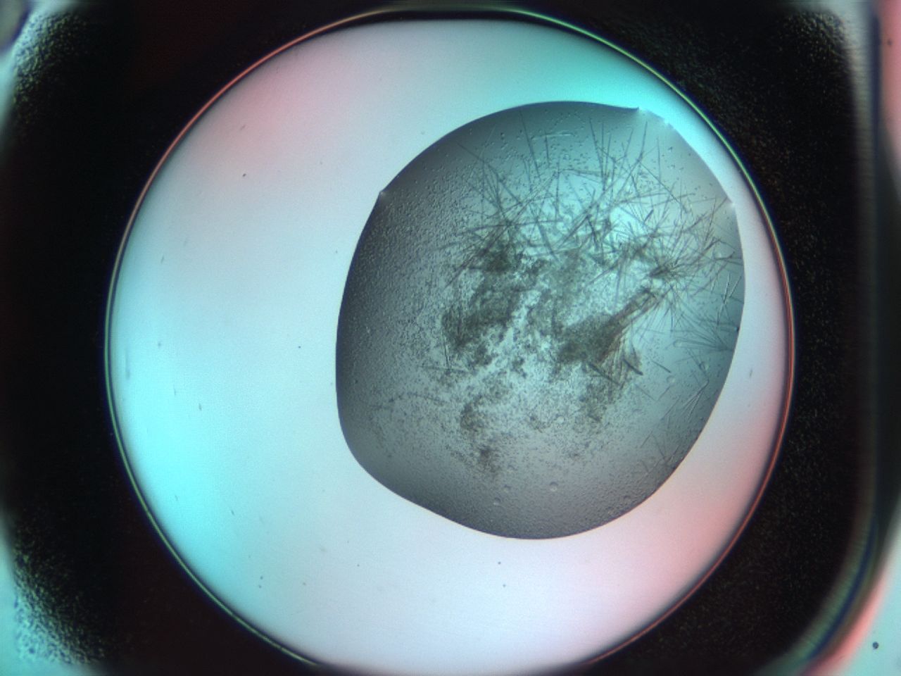 03cf_A6_ImagerDefaults_7.jpg