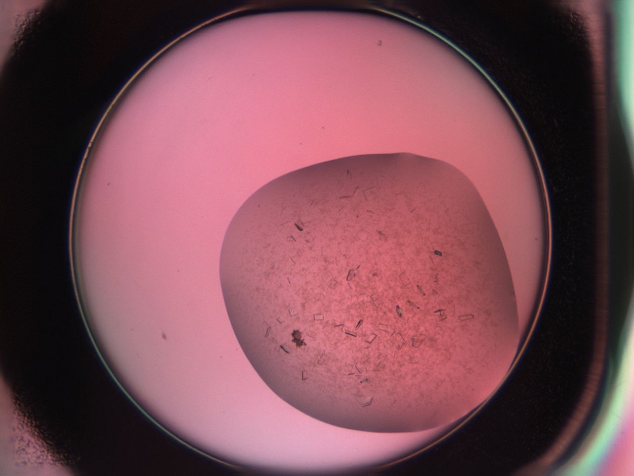 03cf_B1_ImagerDefaults_7.jpg