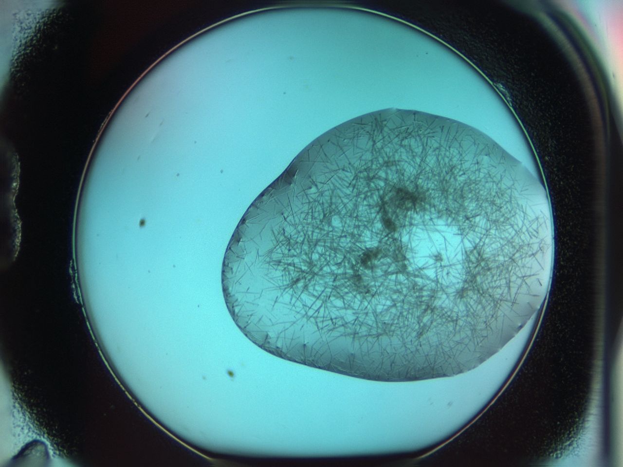 03cf_B11_ImagerDefaults_7.jpg