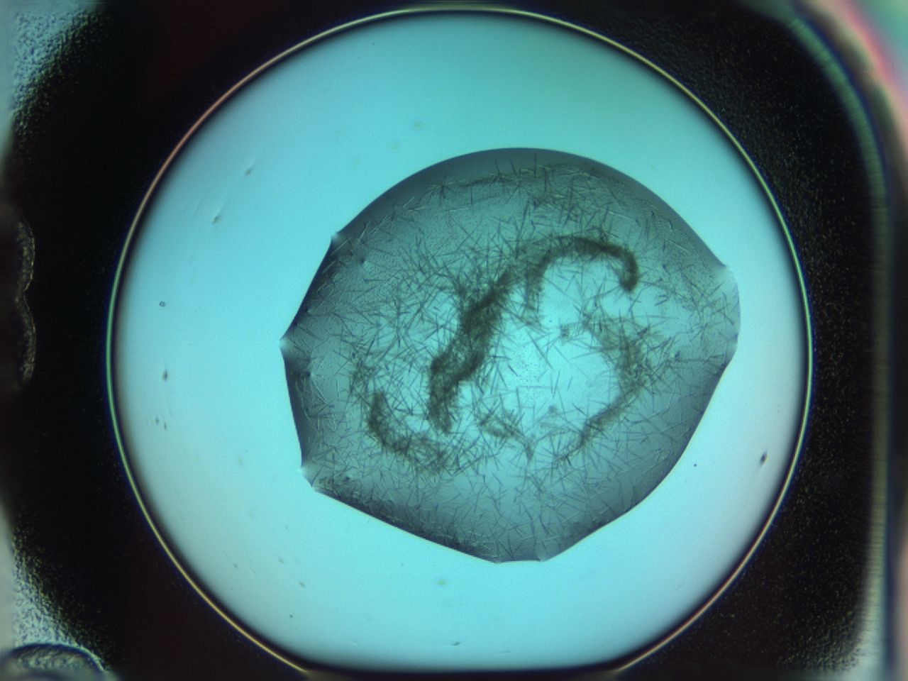 03cf_B12_ImagerDefaults_7.jpg