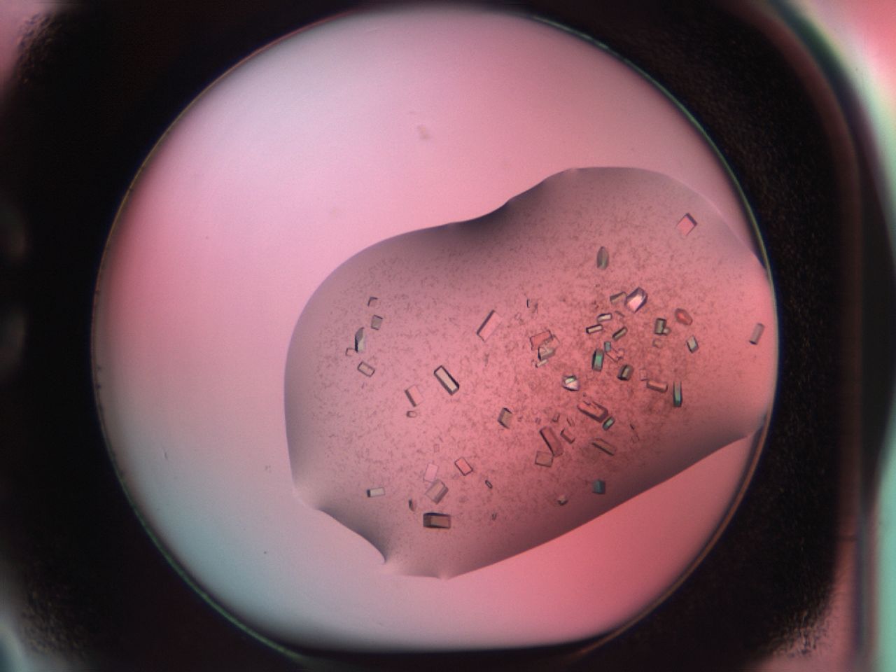 03cf_C3_ImagerDefaults_8.jpg