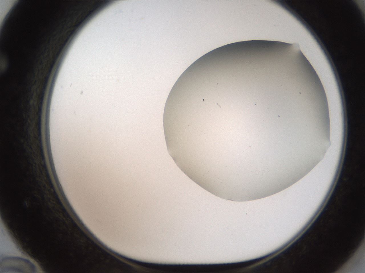 folderID564_plateID2564_batchID12853_wellNum72_profileID1_d1_r195440_ef.jpg
