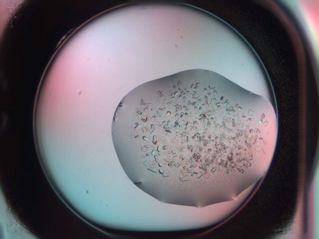 03cf_C4_ImagerDefaults_8.jpg