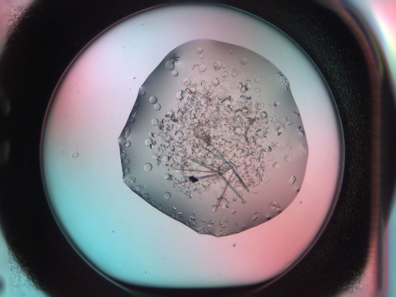 03cf_C5_ImagerDefaults_7.jpg