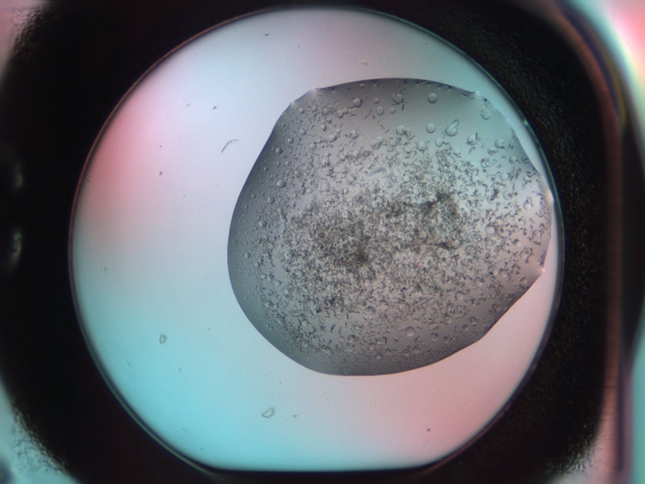 03cf_C6_ImagerDefaults_7.jpg