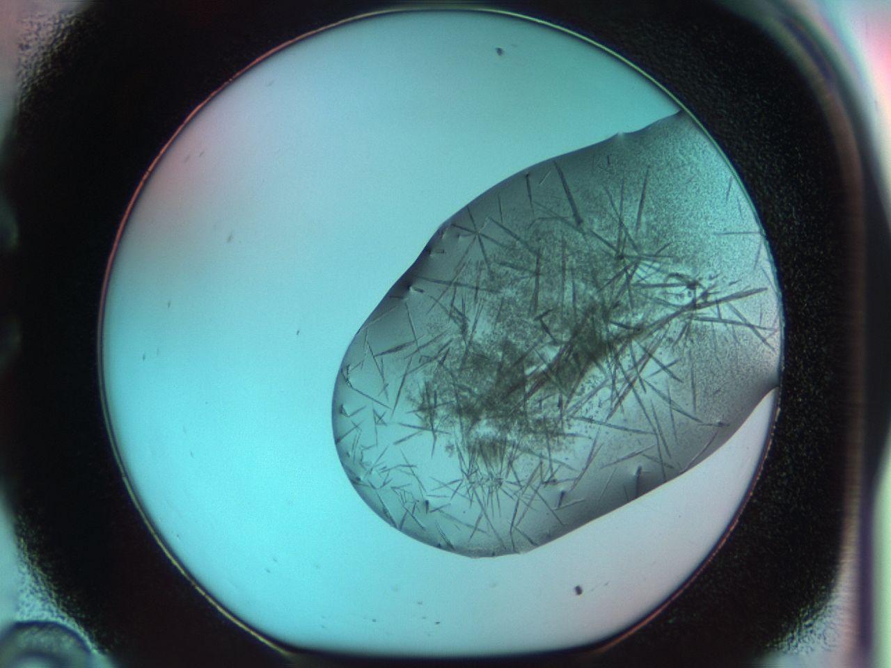 03cf_C10_ImagerDefaults_7.jpg
