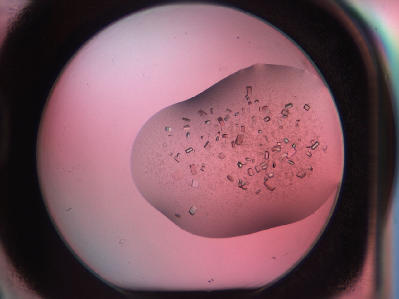 03cf_D3_ImagerDefaults_8.jpg