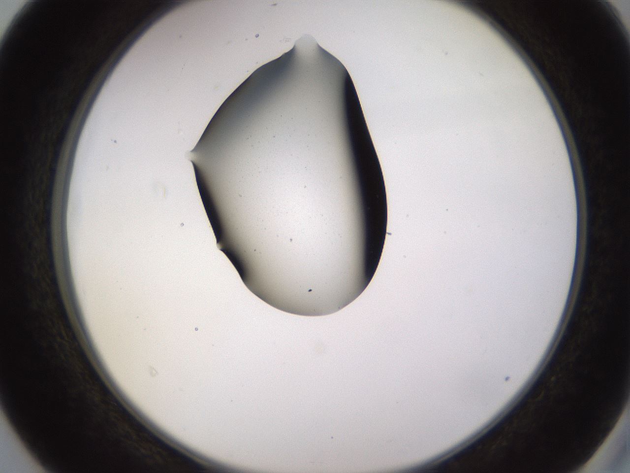 folderID565_plateID1565_batchID6312_wellNum40_profileID1_d2_r102115_ef.jpg