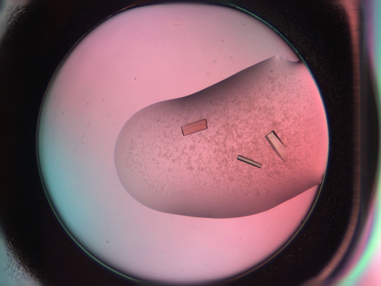 03cf_D3_ImagerDefaults_9.jpg