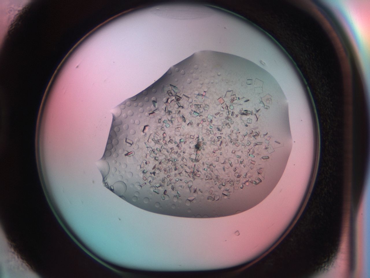 03cf_D4_ImagerDefaults_7.jpg