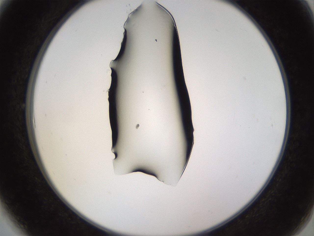 folderID565_plateID1565_batchID6312_wellNum6_profileID1_d2_r102047_ef.jpg