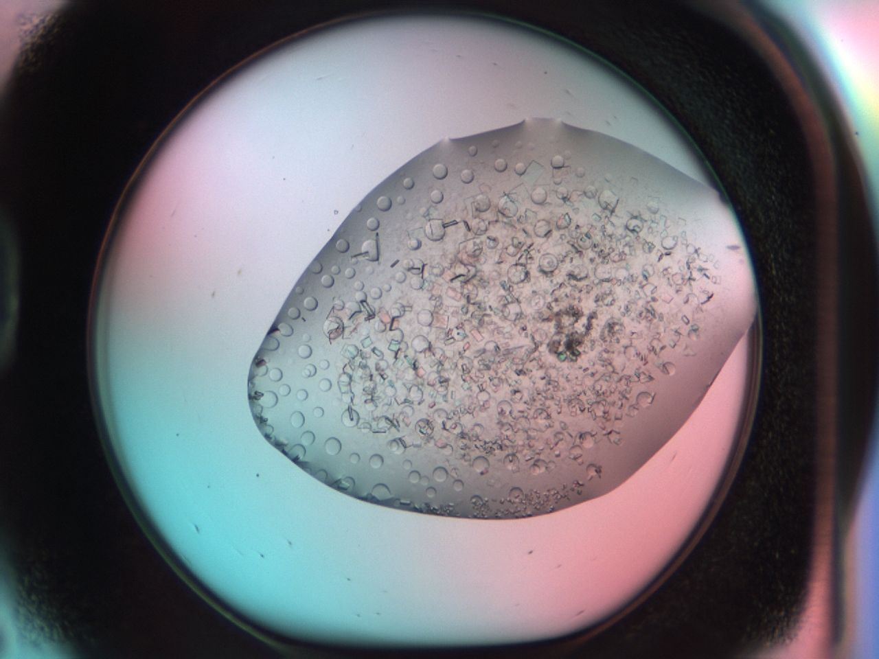 03cf_D5_ImagerDefaults_7.jpg