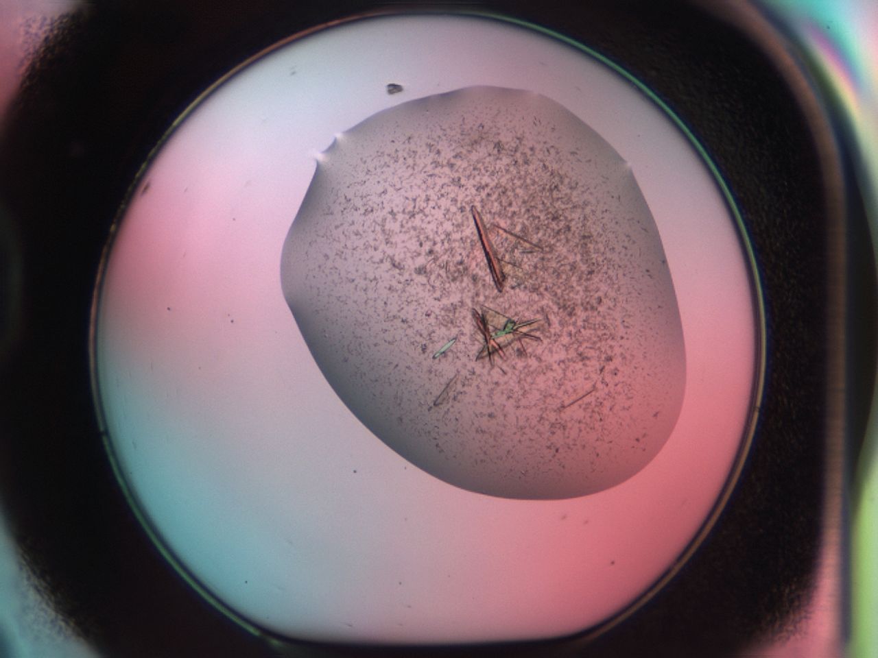 03cf_D8_ImagerDefaults_7.jpg