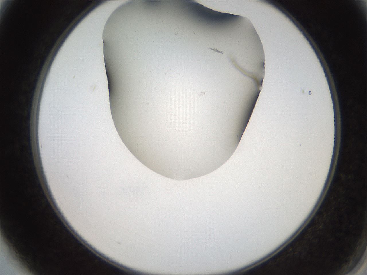 folderID565_plateID2565_batchID12848_wellNum3_profileID1_d2_r195851_ef.jpg