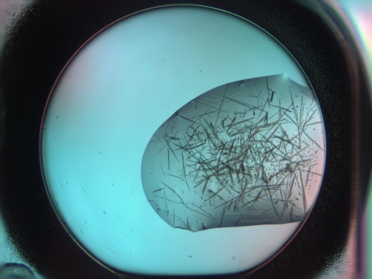 03cf_D10_ImagerDefaults_7.jpg