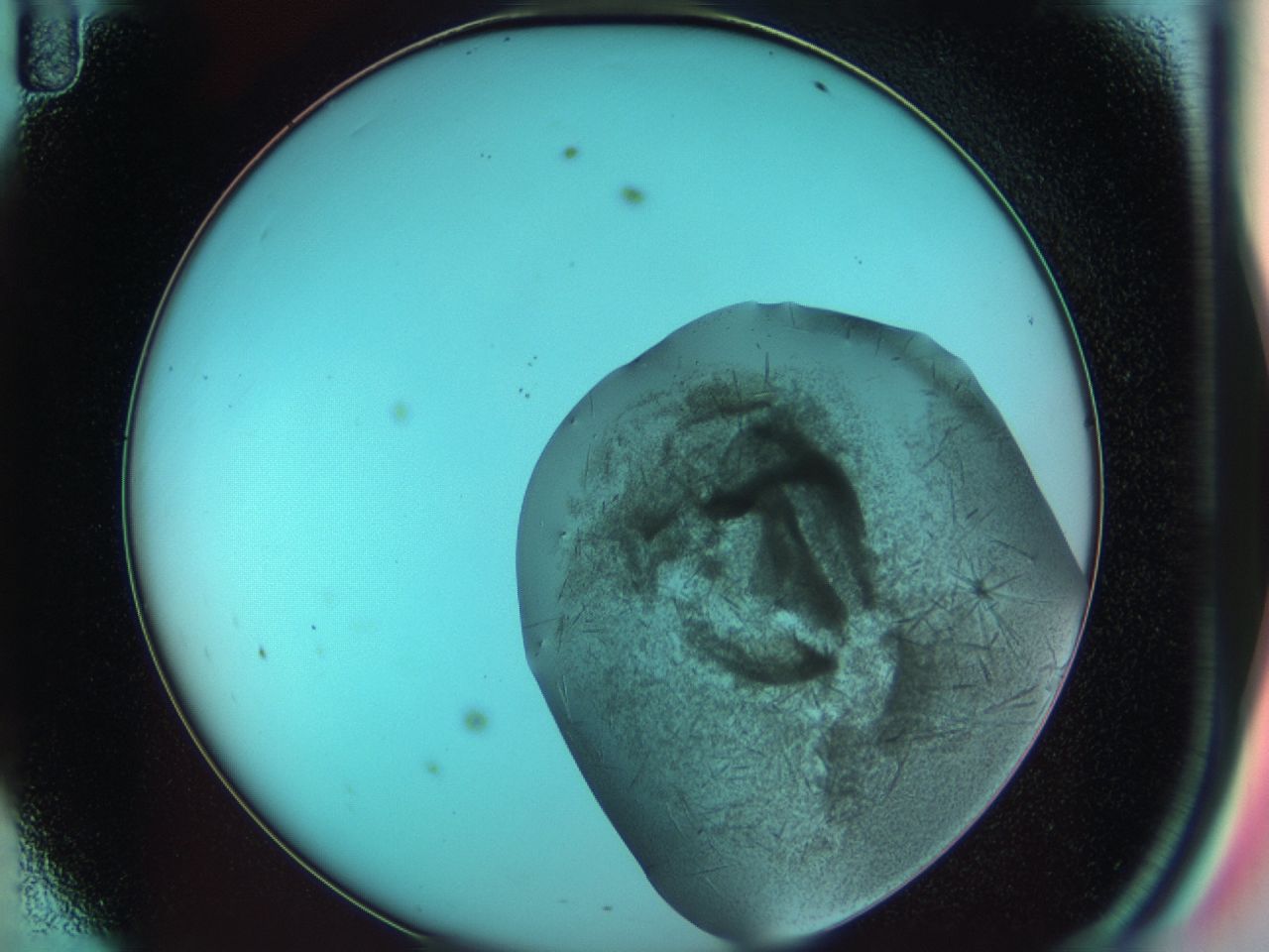 03cf_D11_ImagerDefaults_6.jpg