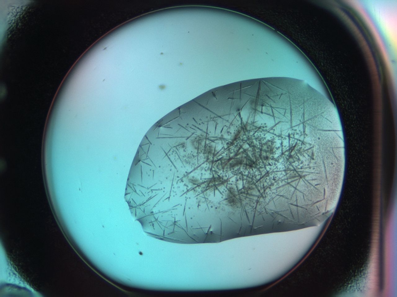 03cf_E10_ImagerDefaults_7.jpg