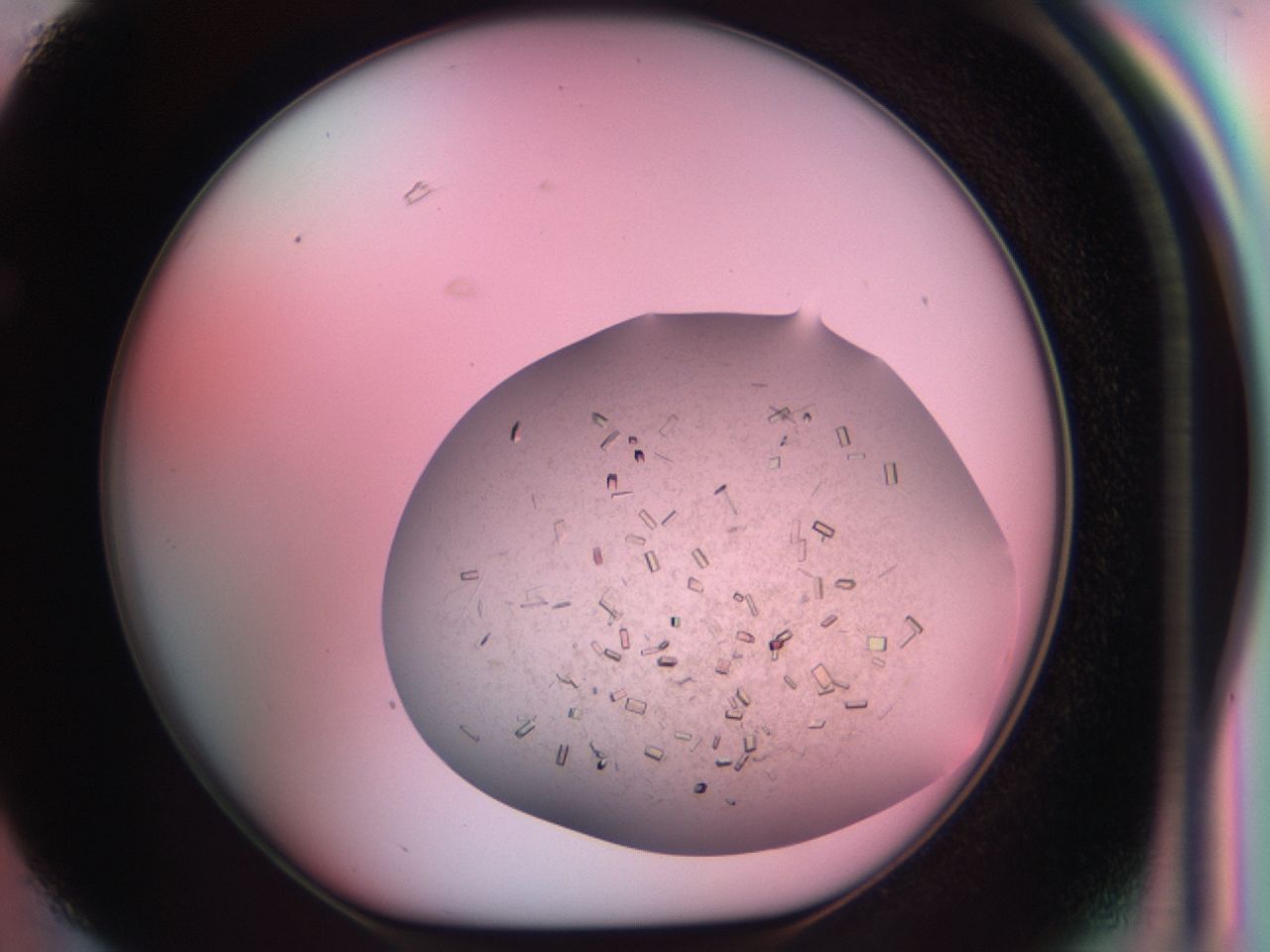 03cf_F3_ImagerDefaults_7.jpg