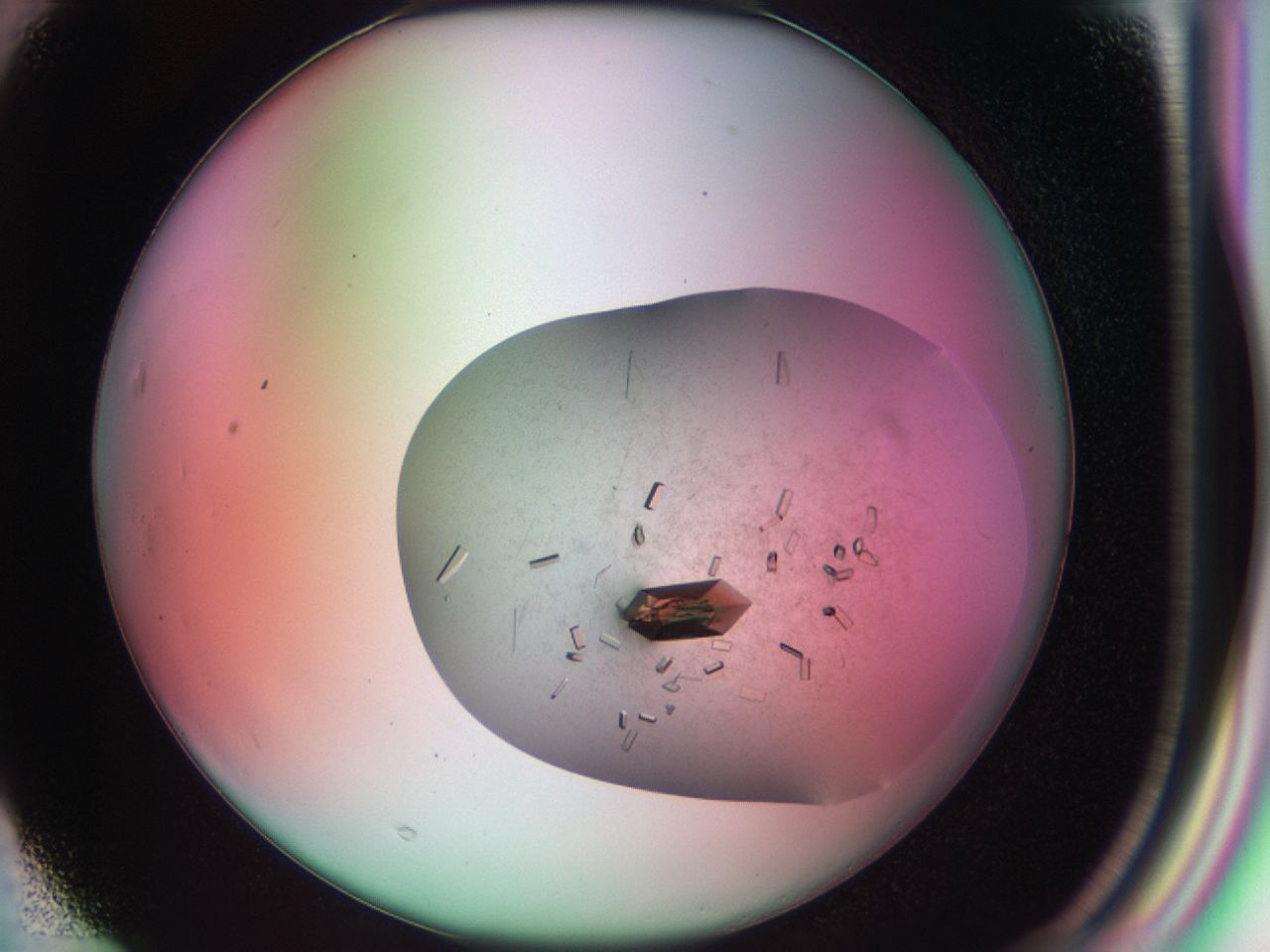 03cf_F3_ImagerDefaults_8.jpg
