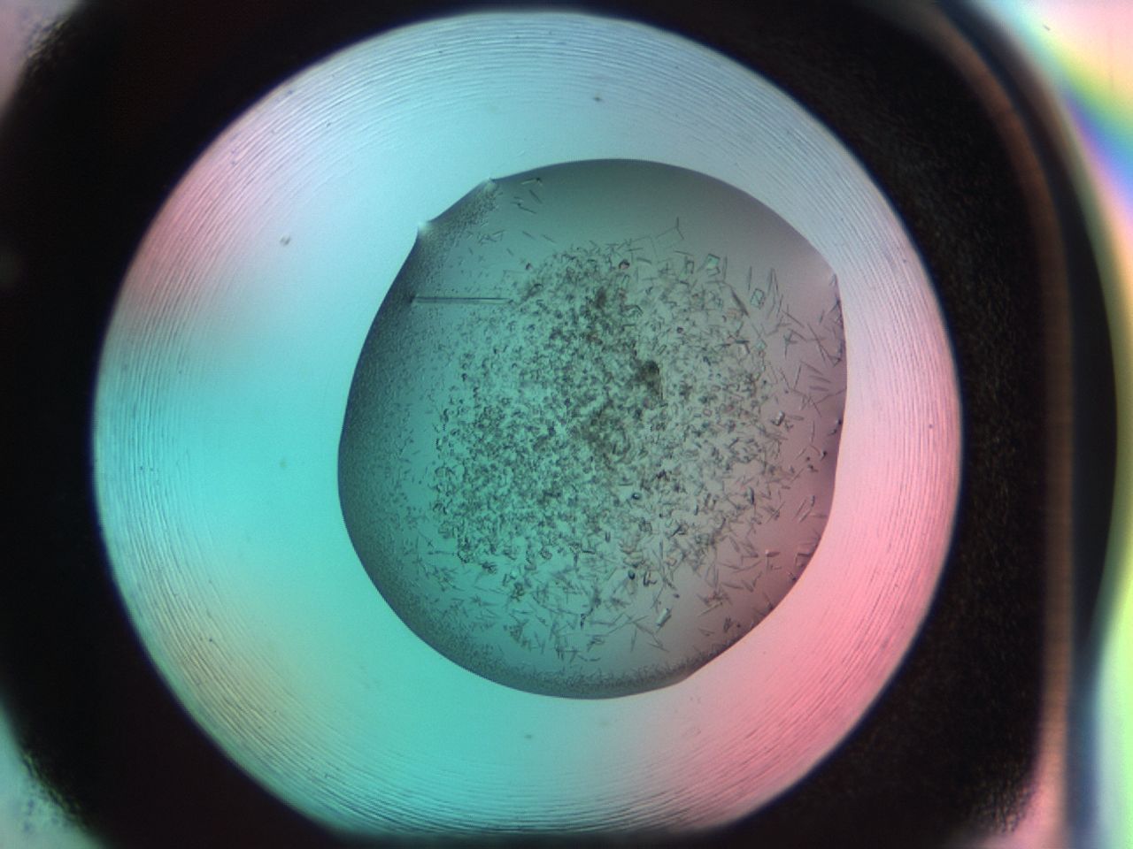 03cf_F5_ImagerDefaults_7.jpg