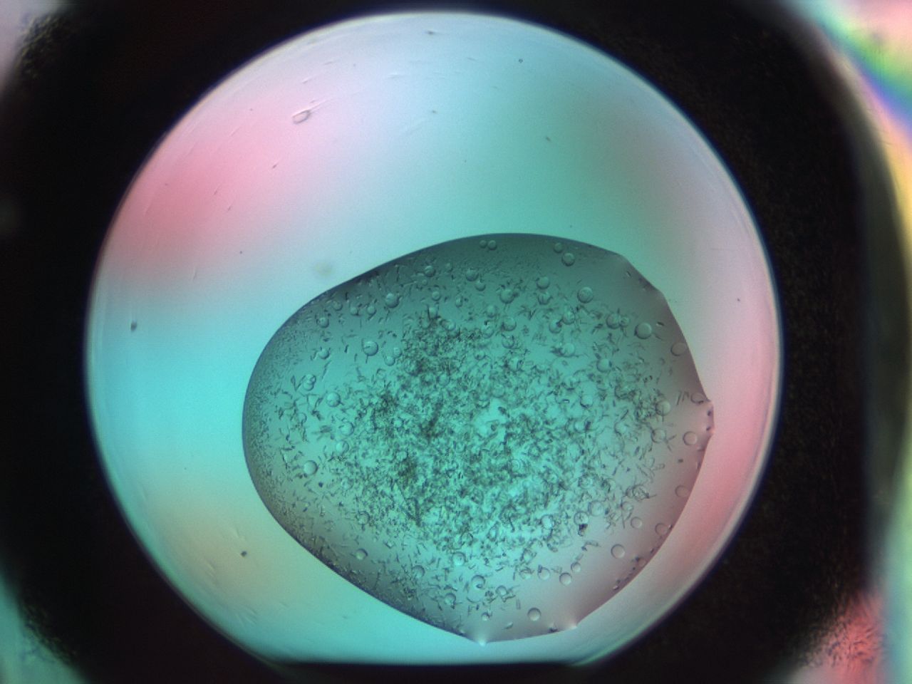03cf_F6_ImagerDefaults_7.jpg