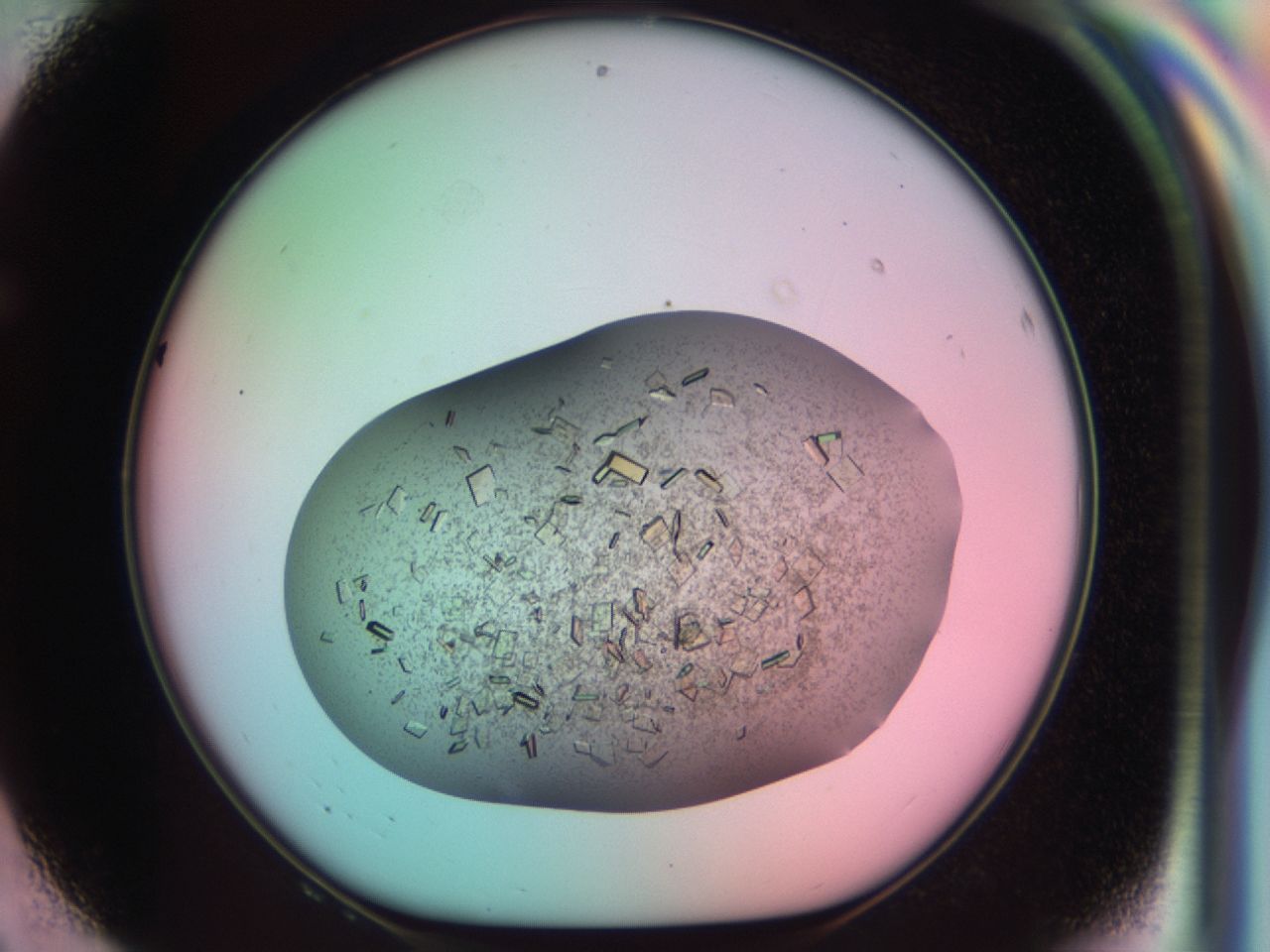 03cf_F8_ImagerDefaults_7.jpg