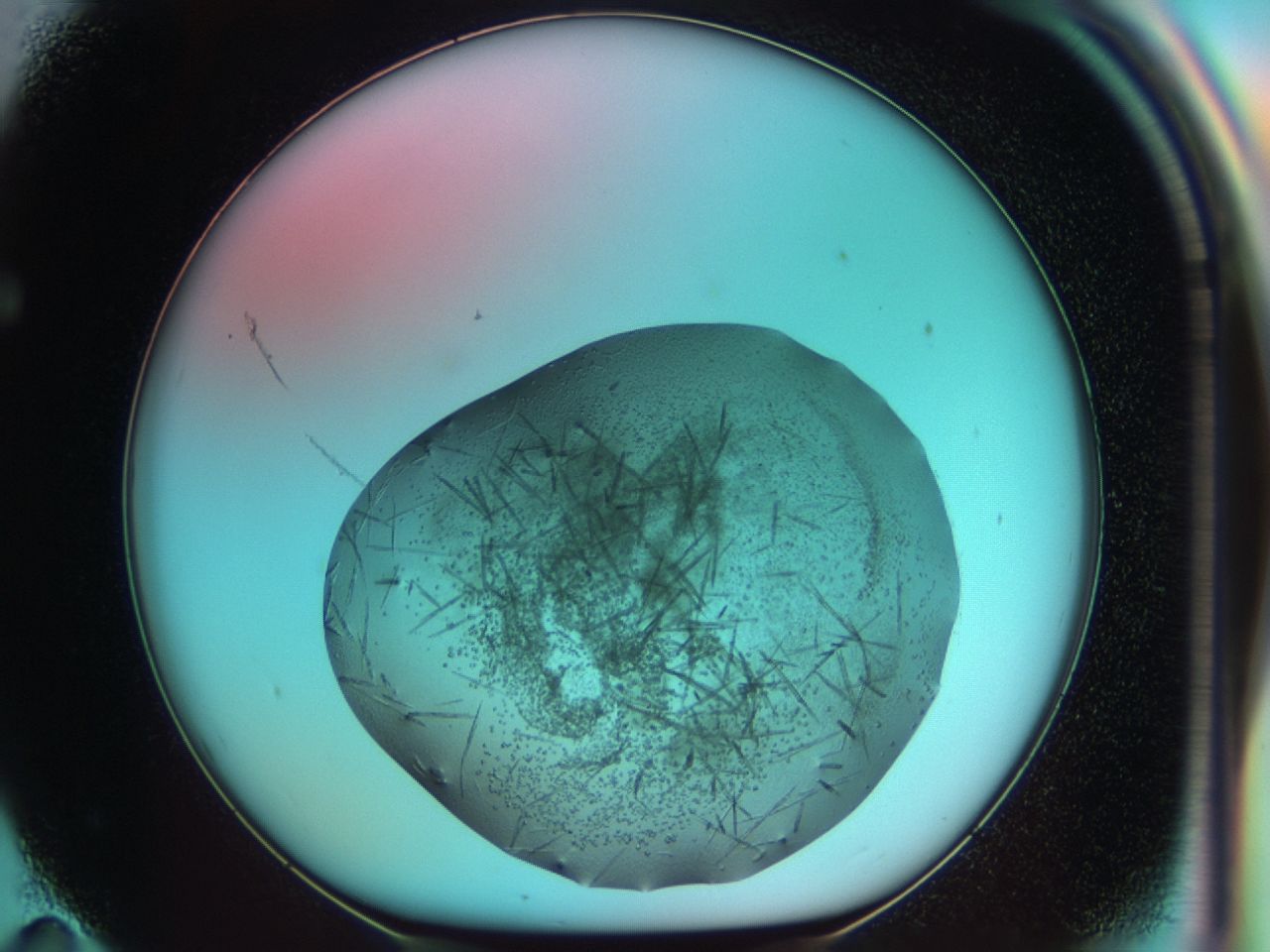03cf_F11_ImagerDefaults_7.jpg