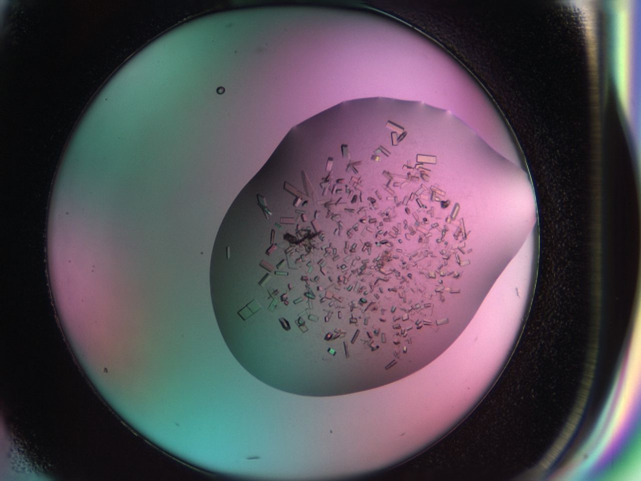03cf_G4_ImagerDefaults_8.jpg