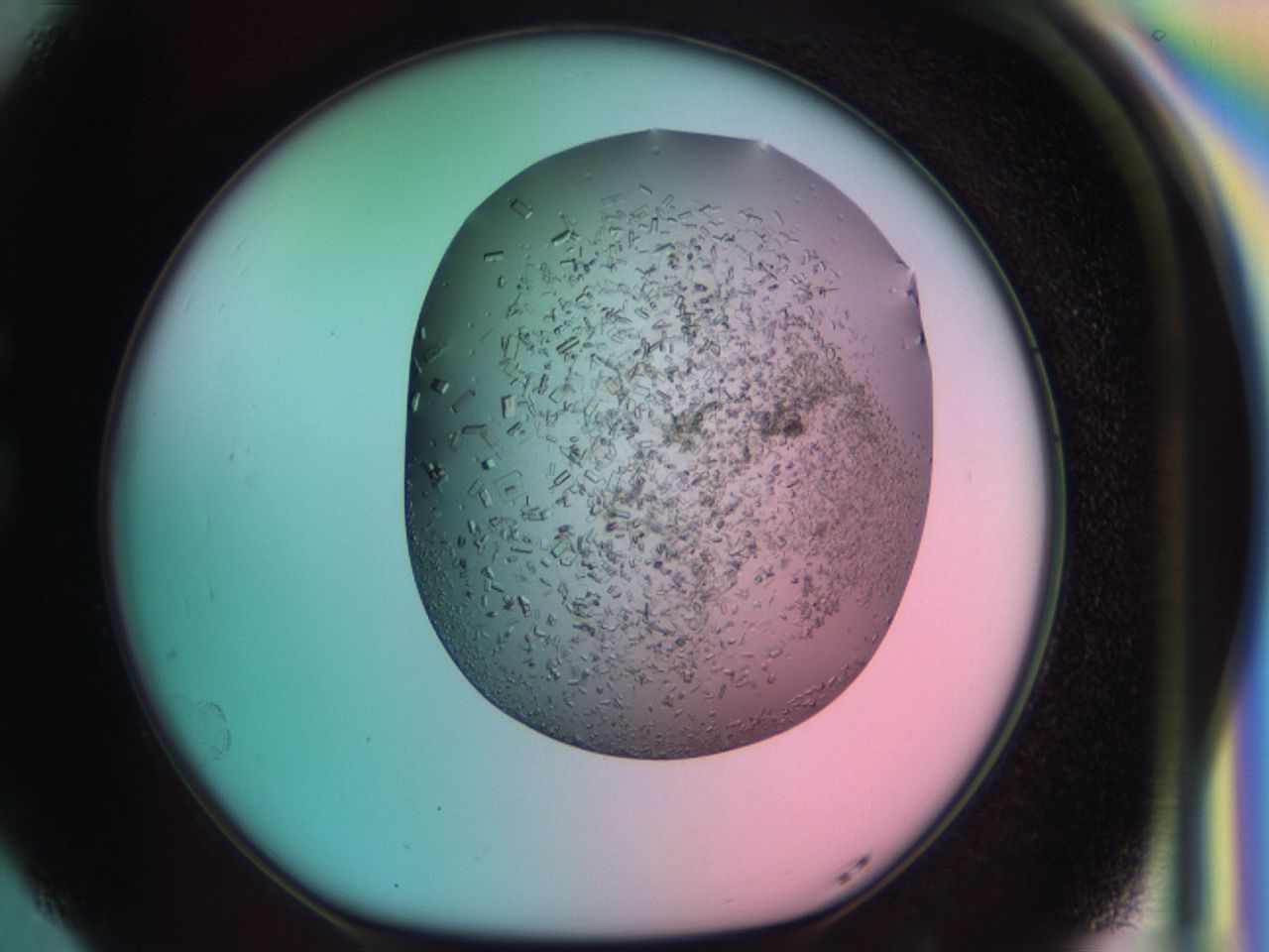 03cf_G5_ImagerDefaults_7.jpg