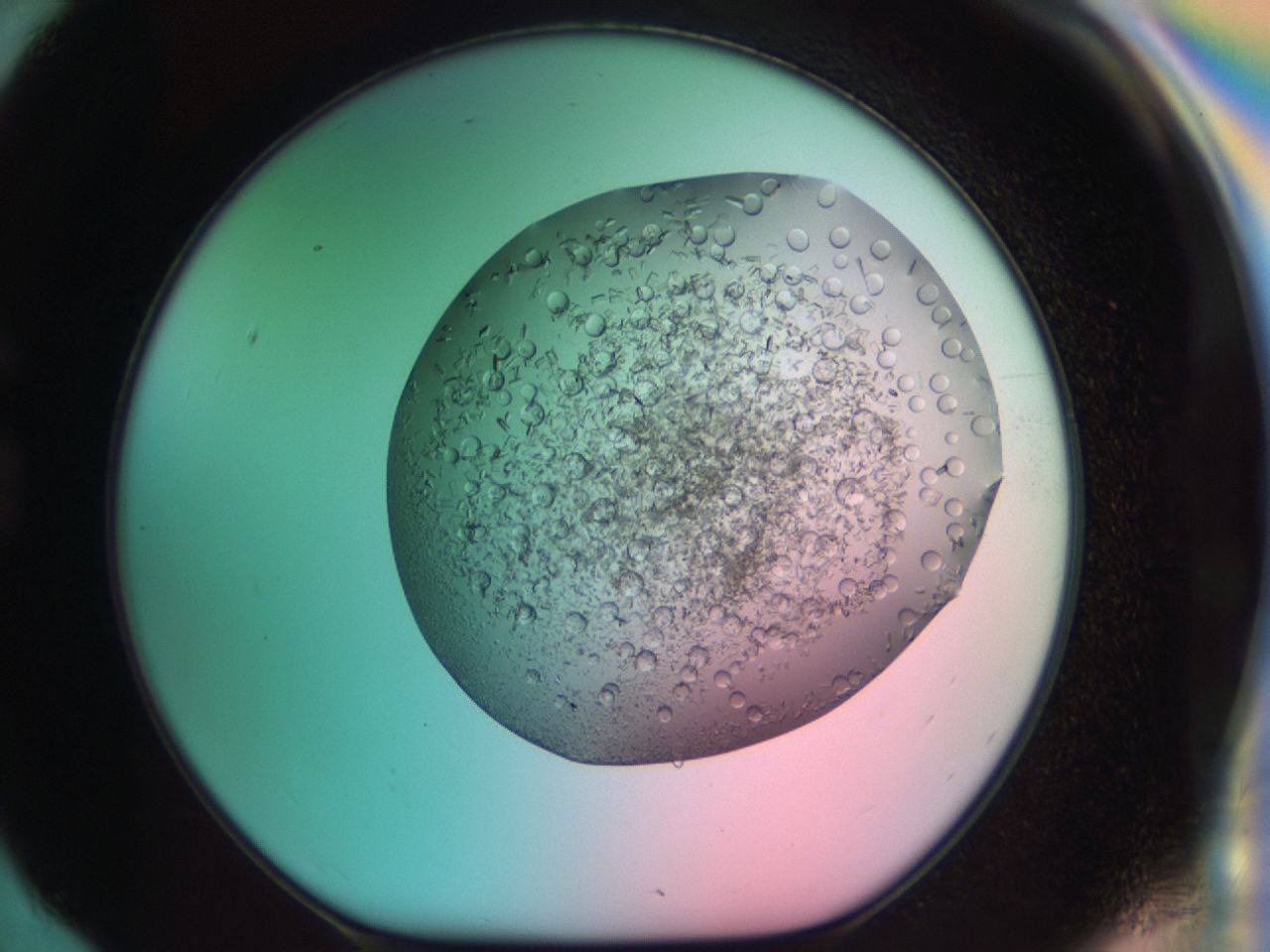 03cf_G6_ImagerDefaults_7.jpg
